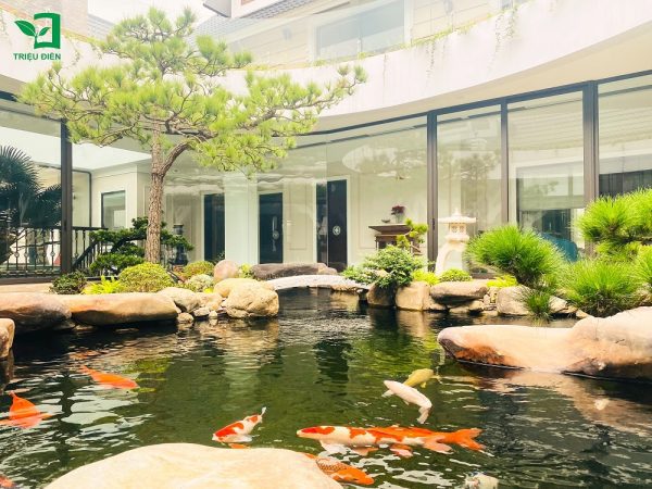 Cây cảnh sân vườn biệt thự