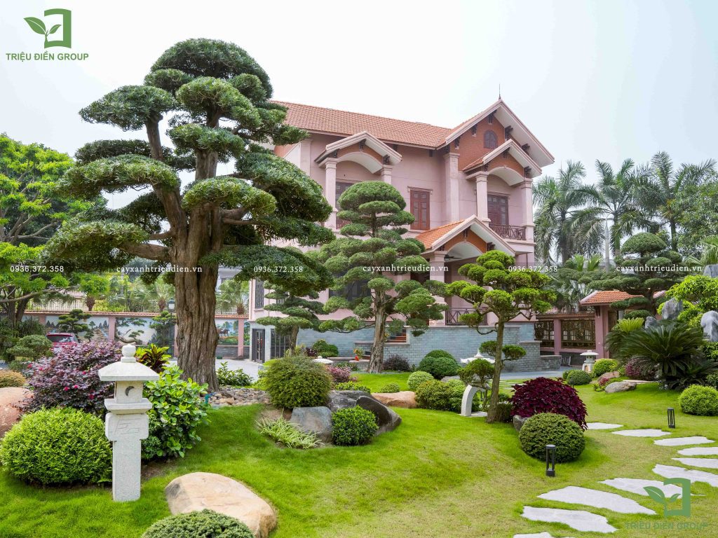 dụng cụ làm vườn chuyên nghiệp