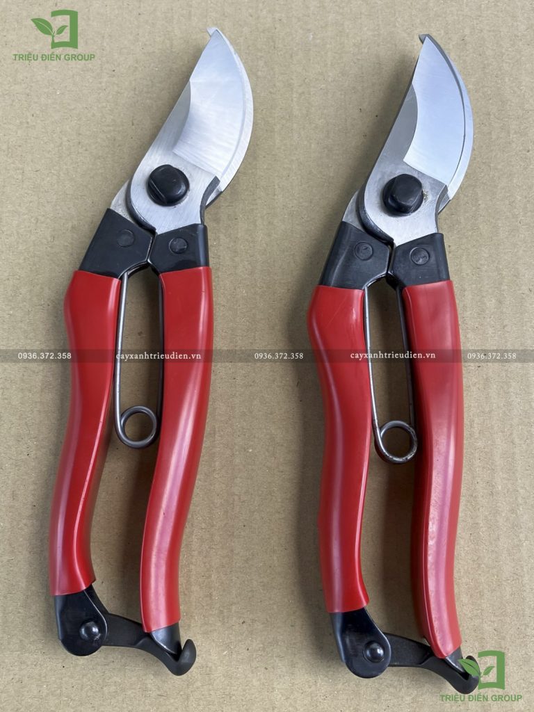 Kéo cắt tỉa Azuma Shota 200mm