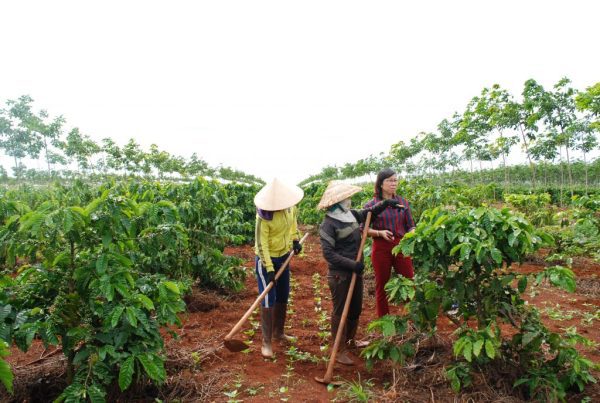 Đất nào giữ nước tốt