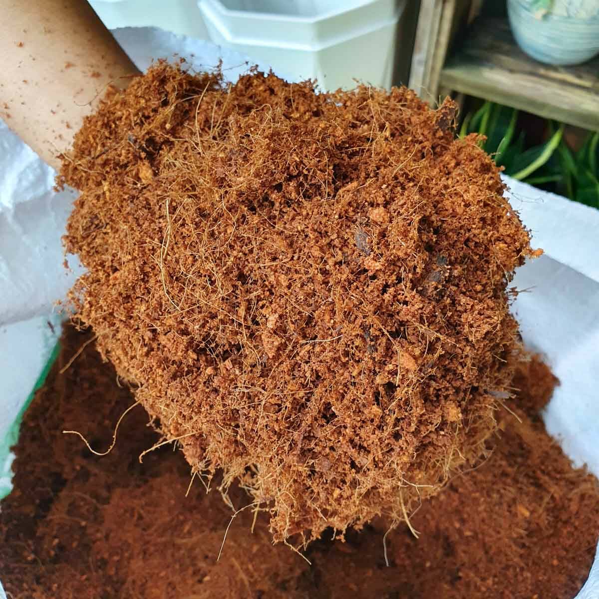Đất nào giữ nước tốt