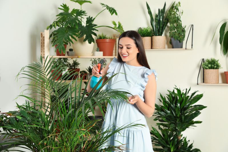 bảng báo giá cây xanh
