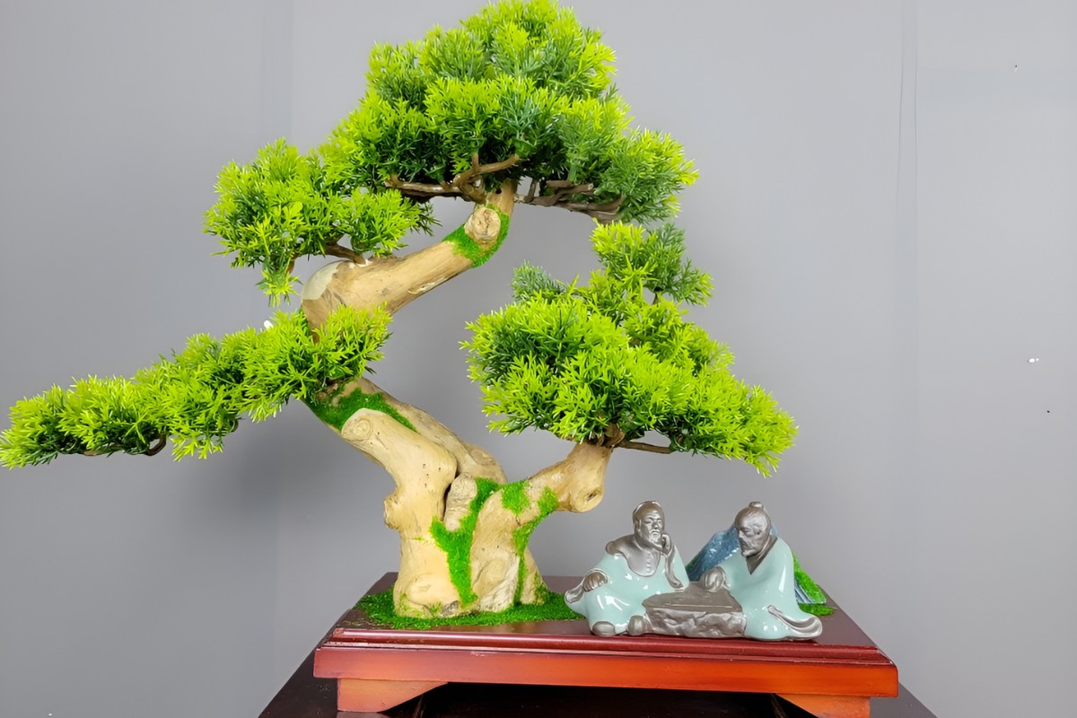Cây tiểu cảnh sân vườn