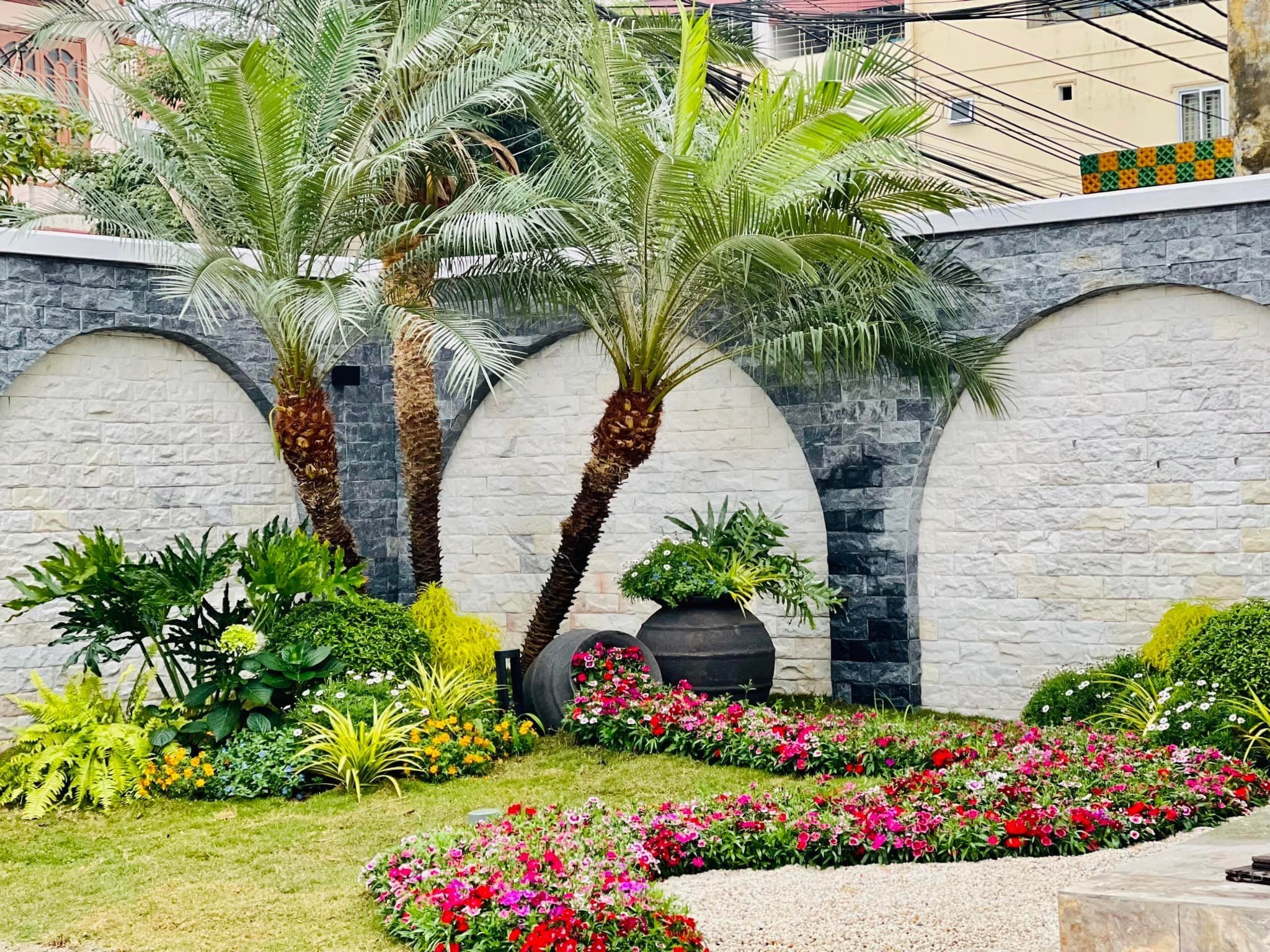 Cây tiểu cảnh sân vườn