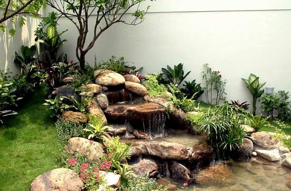 Cây tiểu cảnh sân vườn​