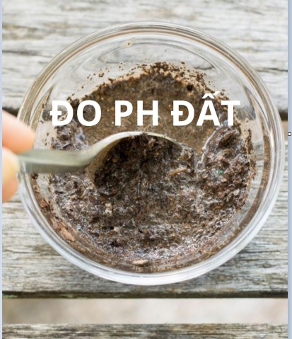 Đất kiềm là đất có ph là bao nhiêu​
