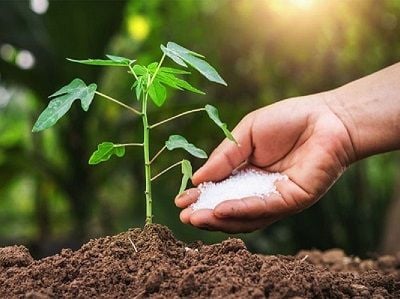 Phân bón có tác dụng gì