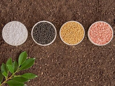 Phân bón có tác dụng gì