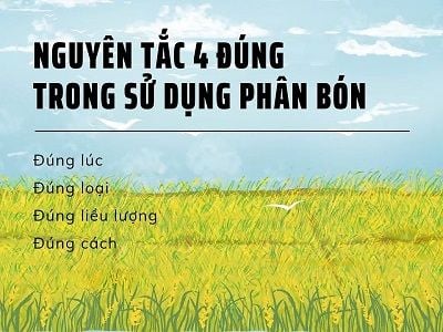 Phân bón có tác dụng gì