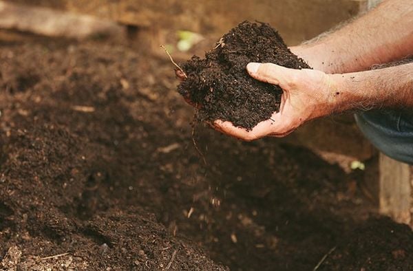 Đất kiềm là đất có ph là bao nhiêu​