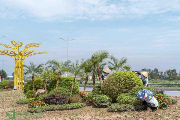 Thiết kế cây xanh đô thị​