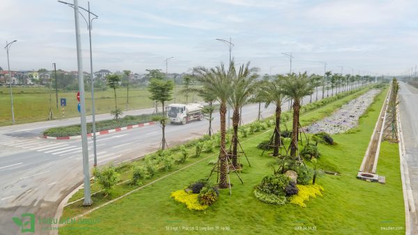 báo giá cây xanh đô thị
