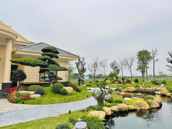 Cây công trình đẹp​