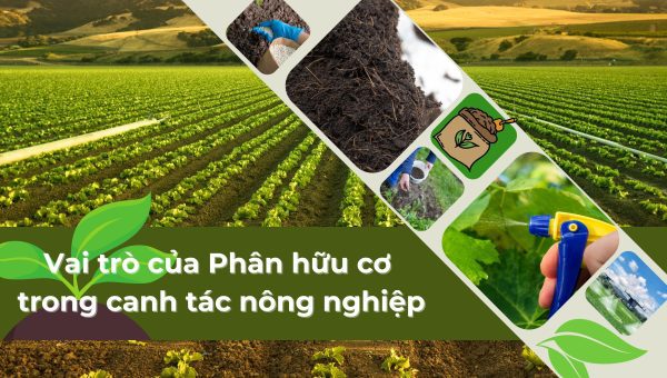 Phân bón có tác dụng gì