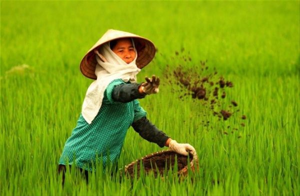 Phân có tác dụng cải tạo đất​