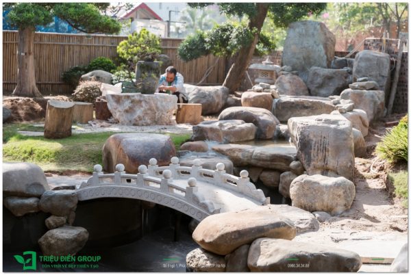 Cây tiểu cảnh sân vườn​