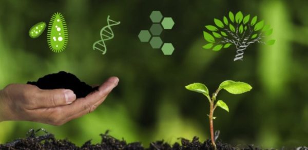Phân bón có tác dụng gì