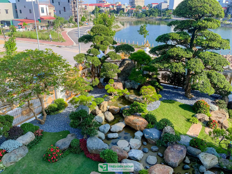 Mua cây xanh đô thị ở đâu uy tín? - Hướng dẫn lựa chọn đơn vị cung cấp cây cảnh chất lượng cho không gian sống và làm việc 5 Mua cây xanh đô thị ở đâu uy tín? - Hướng dẫn lựa chọn đơn vị cung cấp cây cảnh chất lượng cho không gian sống và làm việc