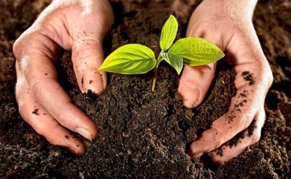 Đất nào giữ nước tốt
