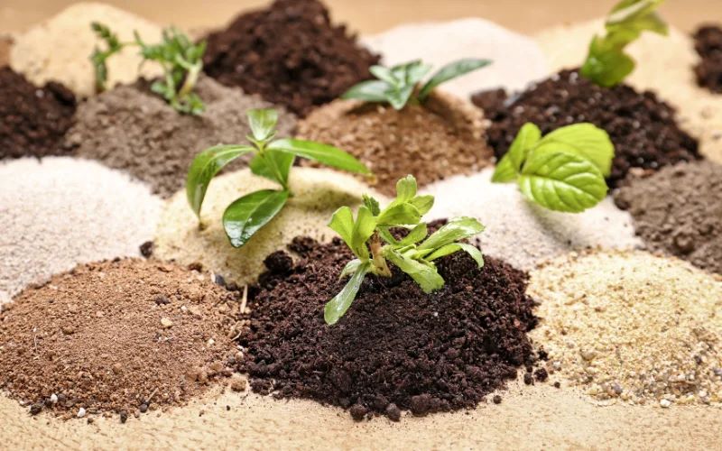 Đất nào giữ nước tốt