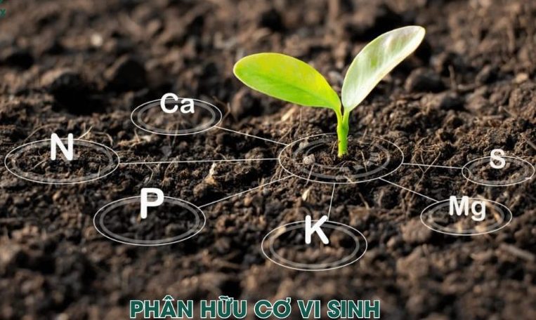 Cách sử dụng phân bón hữu cơ​