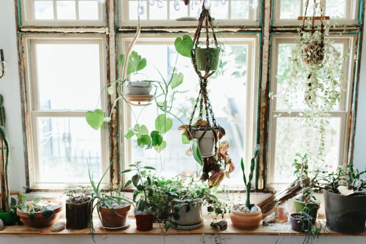 Nguyên tắc sắp xếp cây cảnh