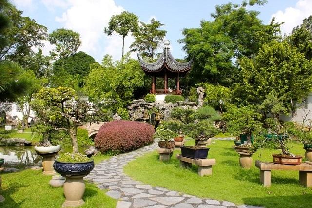 Nguyên tắc sắp xếp cây cảnh