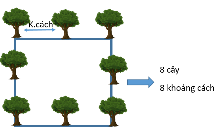 Cách tính số cây trồng trên diện tích