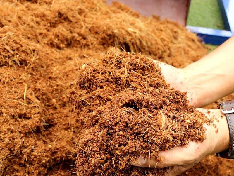 Cách trộn xơ dừa với đất
