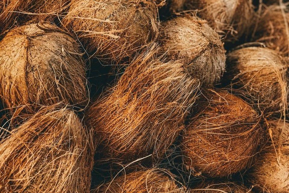 Cách trộn xơ dừa với đất