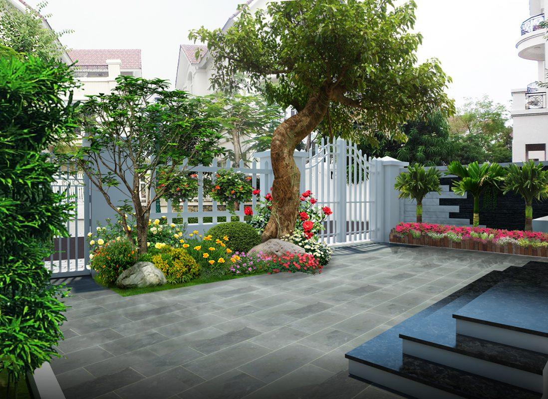 Cách chọn cây xanh phù hợp không gian và phong thủy
