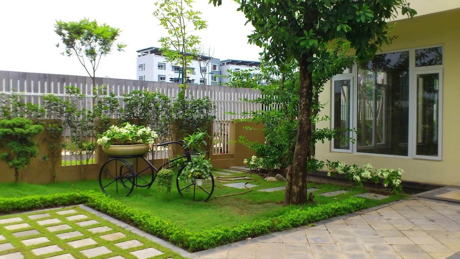 Các loại cây cảnh dùng trong thiết kế sân vườn