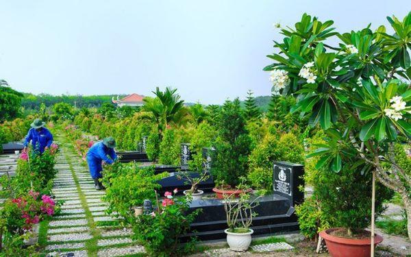 Những cây không nên trồng ở mộ