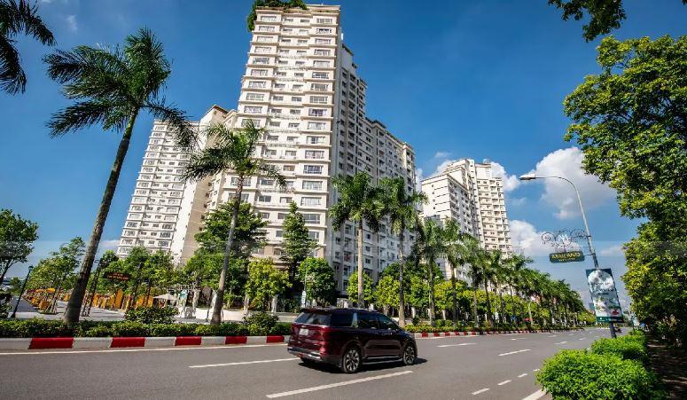 bố trí cây xanh đô thị theo hàng lối