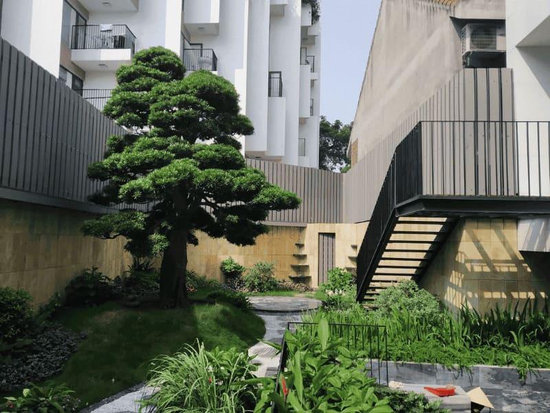 hướng dẫn trồng cây cảnh sân vườn hợp lý