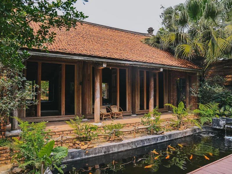 hướng dẫn trồng cây cảnh sân vườn hợp lý