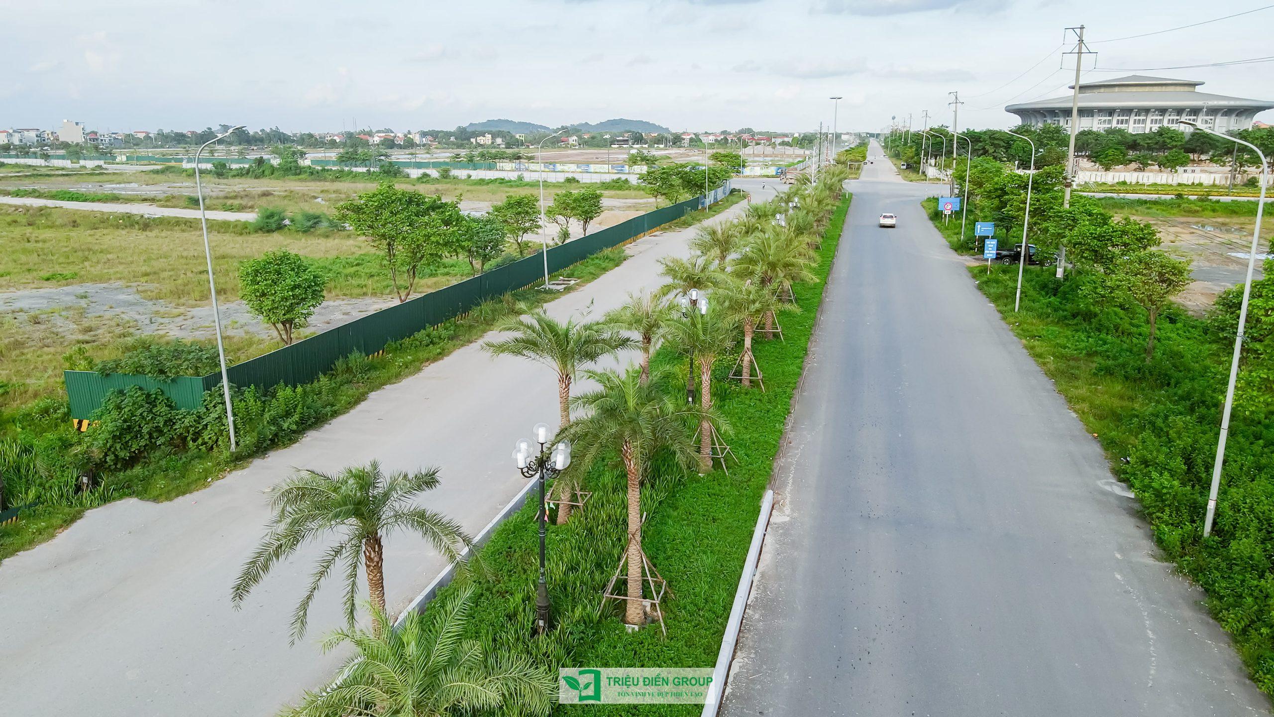 Vai trò của cây xanh đô thị đối với môi trường và cảnh quan thành phố
